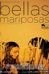 Красивые бабочки 2012 постер