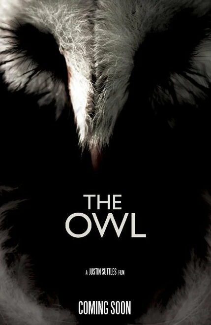 Постер The Owl 2014