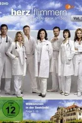 Клиника на озере 2011 постер