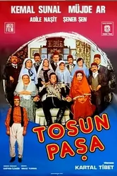Тосун-паша 1976 постер