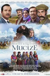 Чудо 2014, Турция постер