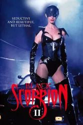 Черный скорпион 2: В эпицентре взрыва 1996 постер