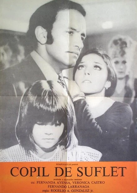 Постер Затворница 1971