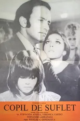 Затворница 1971 постер