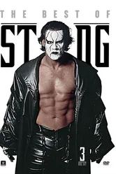 The Best of Sting постер