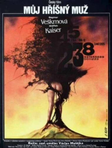 Постер Мой грешный муж 1987