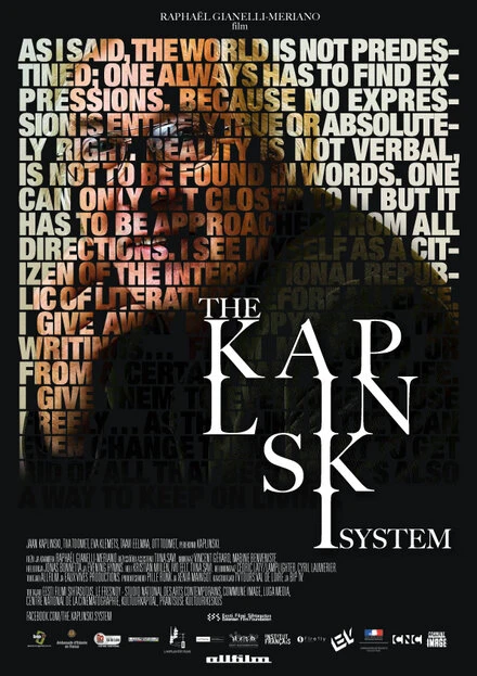 Постер Система Каплинского 2011