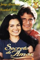 Секрет любви 2001 постер