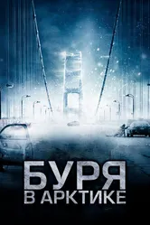 Буря в Арктике 2010 постер