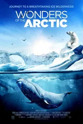 Чудеса Арктики 2014 постер