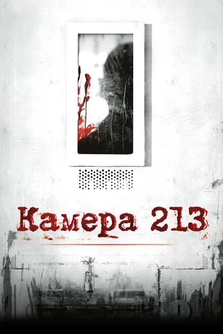 Постер Камера 213 2011