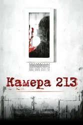 Камера 213 2011 постер