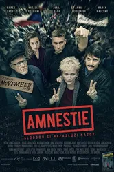 Амнистия 2019 постер