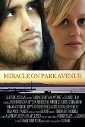 Miracle on Park Avenue постер