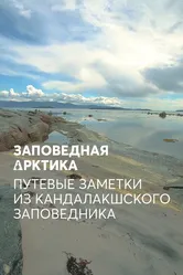 Заповедная Арктика. Путевые заметки из Кандалакшского заповедника 2019 постер