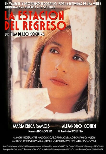 Постер La estación del regreso