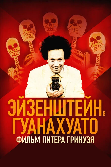 Постер Эйзенштейн в Гуанахуато 2015
