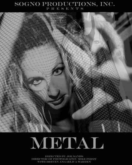 Постер Metal 2008