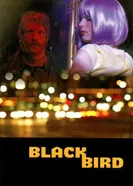 Чёрный дрозд 2007 постер