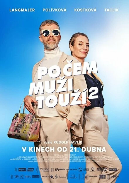 Постер Po cem muzi touzí 2