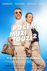 Po cem muzi touzí 2 постер