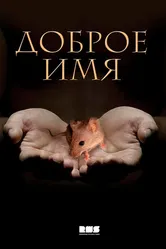 Доброе имя 2014 постер