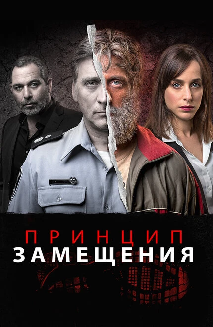Постер Принцип замещения 2016