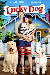 Lucky Dog 2014 постер