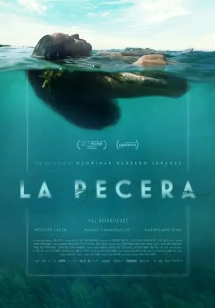Постер La pecera