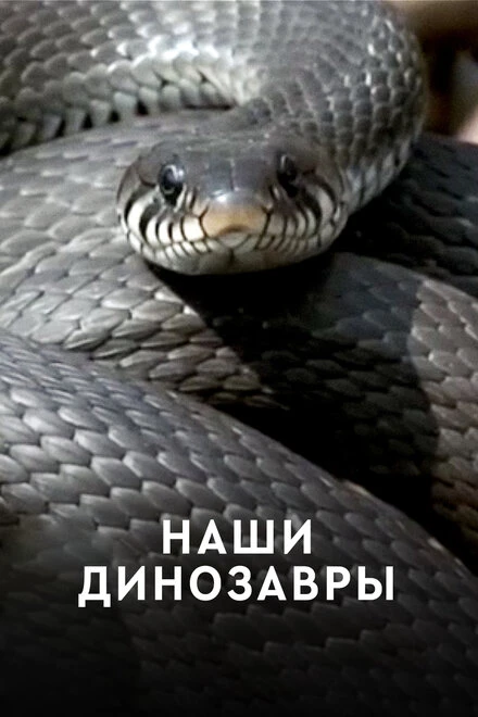 Постер Наши динозавры 2012