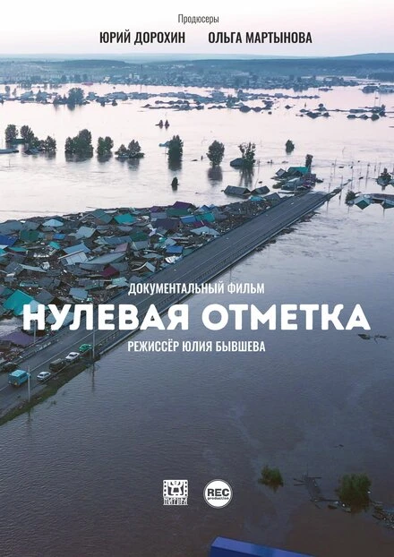 Постер Нулевая отметка 2020