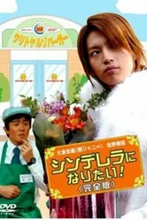 Хочу стать Золушкой 2006 постер