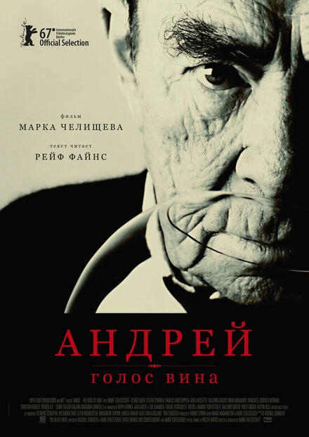 Постер Андрей – голос вина 2017
