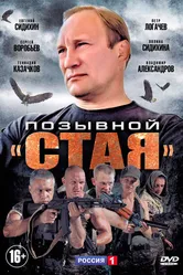Позывной «Стая» 2013 постер