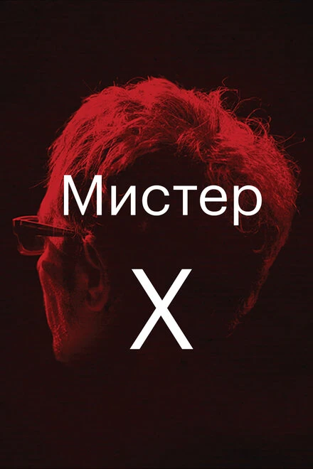 Постер Мистер Икс 2014, Франция