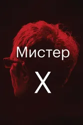 Мистер Икс 2014, Франция постер