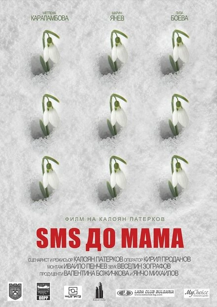 Постер Message to Mom