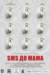 Message to Mom постер