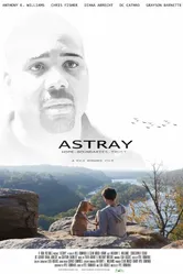 Astray 2014 постер