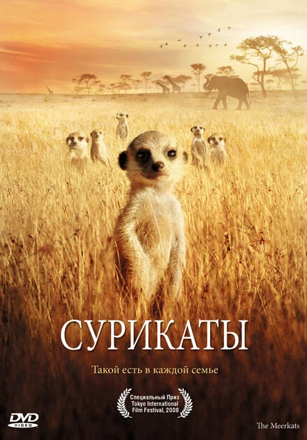 Постер Сурикаты 2007