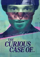 Загадочное дело... постер