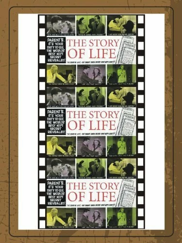 Постер The Story of Life