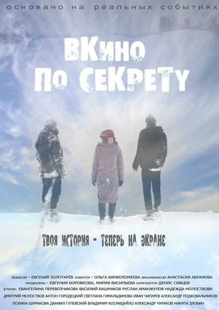 Постер По секрету — ВКино 2017