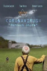 Coronavirus: Perfect Storm постер