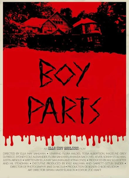 Постер Boy Parts