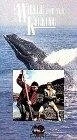 Постер A Whale for the Killing