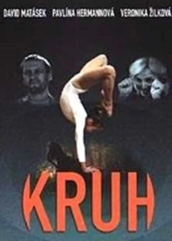 Постер Круг 2001, Чехия