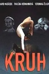 Круг 2001, Чехия постер