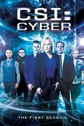 CSI: Киберпространство 2015 постер