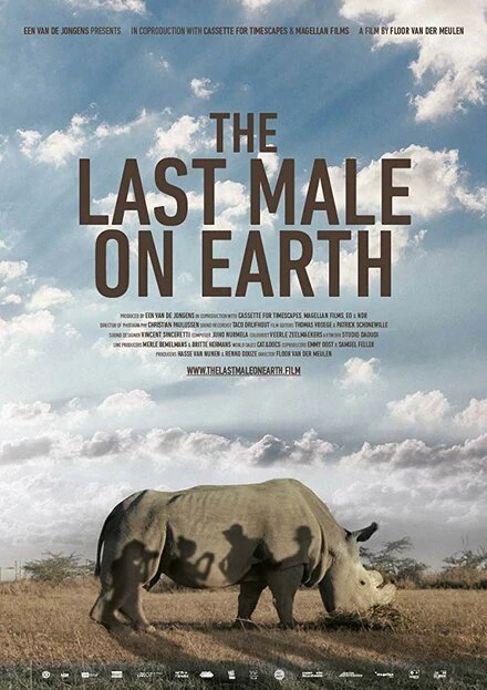 Постер Last Male Standing